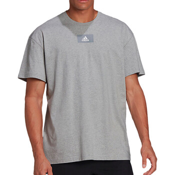 Kleidung Herren T-Shirts & Poloshirts adidas Originals HE4365 Grau