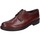 Schuhe Herren Derby-Schuhe & Richelieu Bruno Verri BC269 Braun