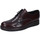 Schuhe Herren Derby-Schuhe & Richelieu Bruno Verri BC301 506 Bordeaux