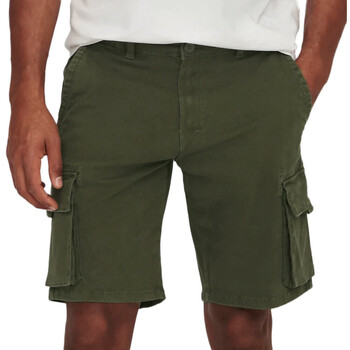 Kleidung Herren Shorts / Bermudas Only & Sons  22024564 Grün