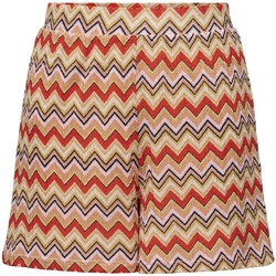 Kleidung Damen Shorts / Bermudas Only Shorts Boho - Zigzag Multicolor