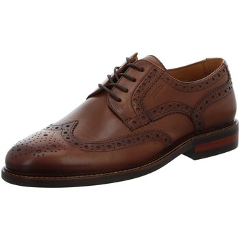 Schuhe Herren Derby-Schuhe & Richelieu Digel Schnuerschuhe Sterling 1001975-35 Braun