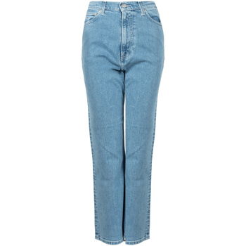 Kleidung Damen 5-Pocket-Hosen Tommy Hilfiger DW0DW12171 | Harper Blau