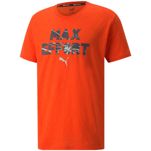 Kleidung Herren T-Shirts & Poloshirts Puma 521643-25 Orange