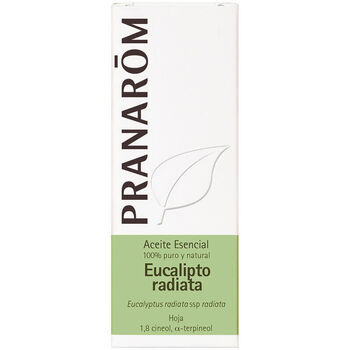 Pranarôm Ätherisches Öl eucalyptus Radiata 