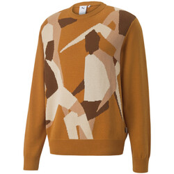 Kleidung Herren Sweatshirts Puma 535804-66 Orange