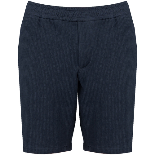 Kleidung Herren Shorts / Bermudas Tommy Hilfiger MW0MW23830 Blau