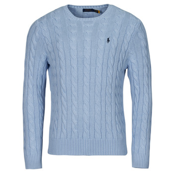 Kleidung Herren Pullover Polo Ralph Lauren PULL COL ROND MAILLE CABLE Blau / Himmelsfarbe / Blubell