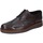 Schuhe Herren Derby-Schuhe & Richelieu Bruno Verri BC543 Braun