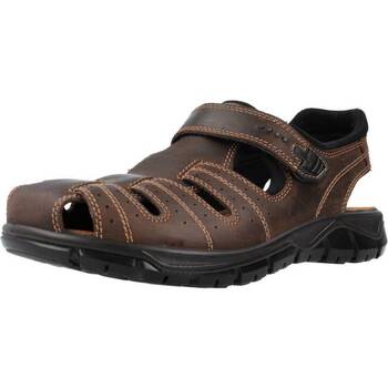 Schuhe Herren Sandalen / Sandaletten IgI&CO 3641211 Braun