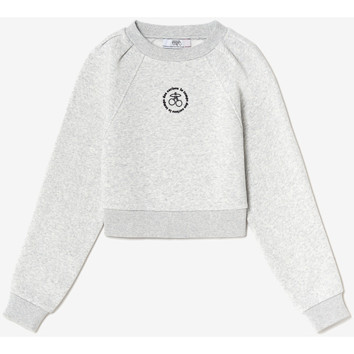 Kleidung Mädchen Sweatshirts Le Temps des Cerises Kapuzen-sweatshirt COBYGI Grau