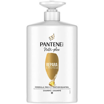 Beauty Shampoo Pantene Repair & Protect Shampoo 