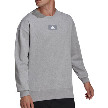 Kleidung Herren Sweatshirts adidas Originals HE4351 Grau