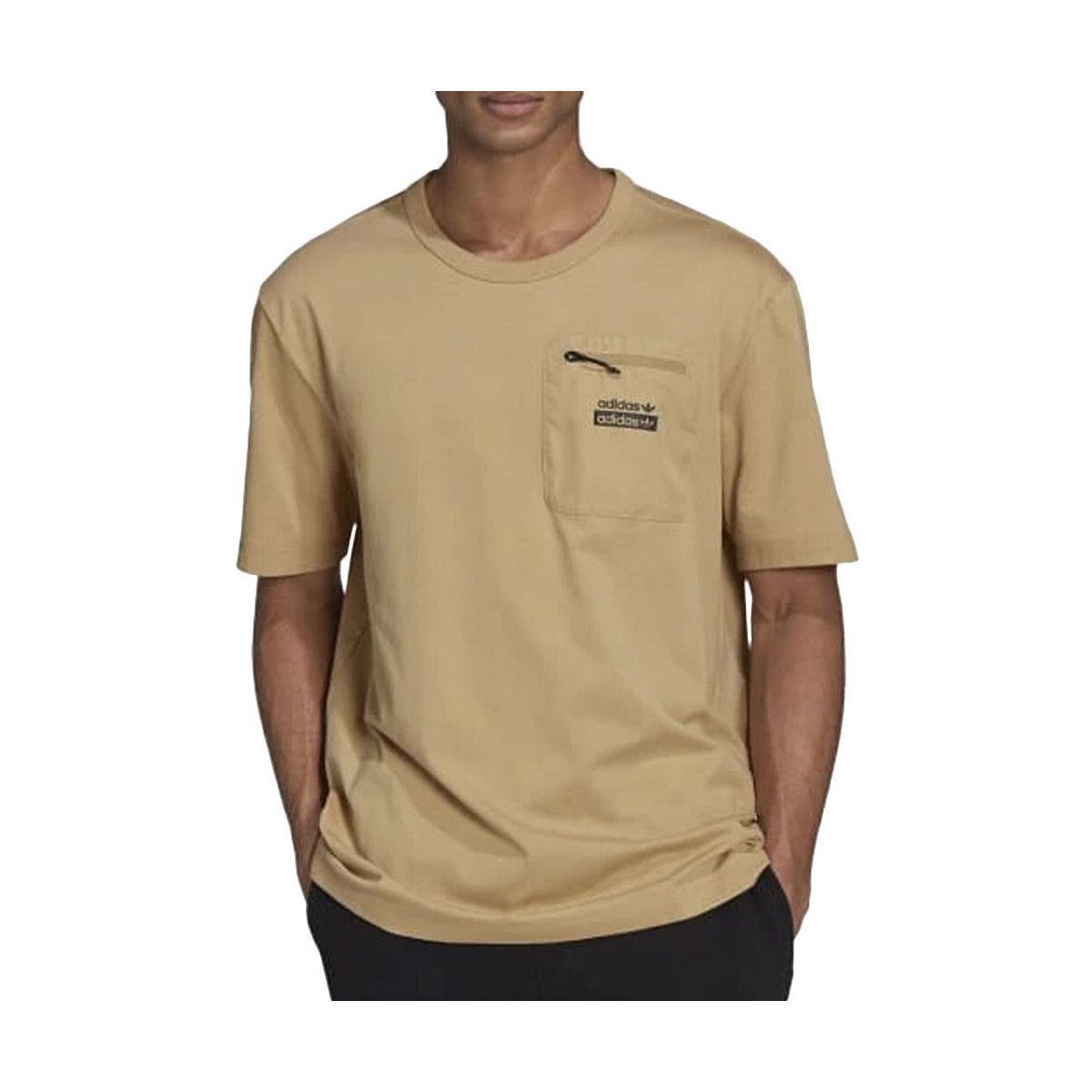 Kleidung Herren T-Shirts & Poloshirts adidas Originals H11506 Braun