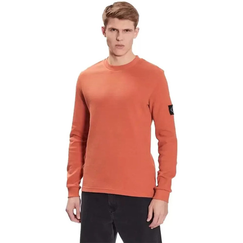 Kleidung Herren Sweatshirts Calvin Klein Jeans Waffle original Orange