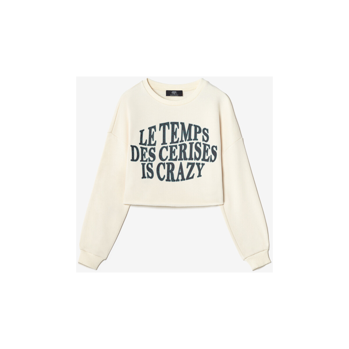Kleidung Mädchen Sweatshirts Le Temps des Cerises Sweatshirt MOLLIEGI Braun