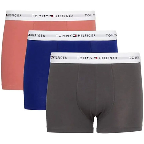 Unterwäsche Herren Boxer Tommy Jeans essential Multicolor