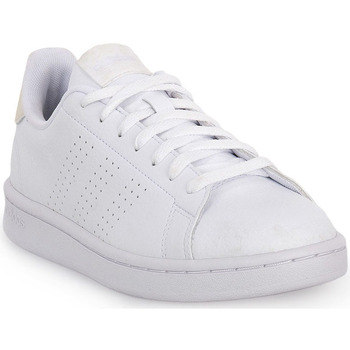 Schuhe Damen Sneaker adidas Originals ADVANTAGE Weiss