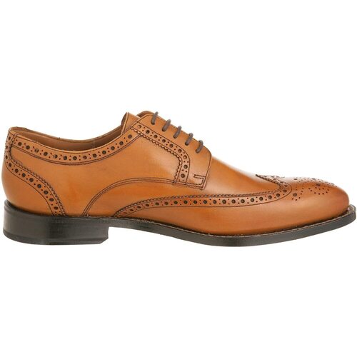 Schuhe Herren Derby-Schuhe & Richelieu Clarks Dixon Class Braun