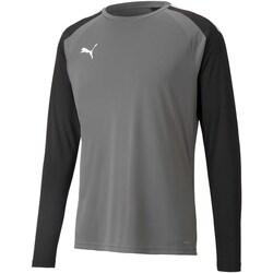 Kleidung T-Shirts & Poloshirts Puma Teampacer Gk Ls Jersey Grau
