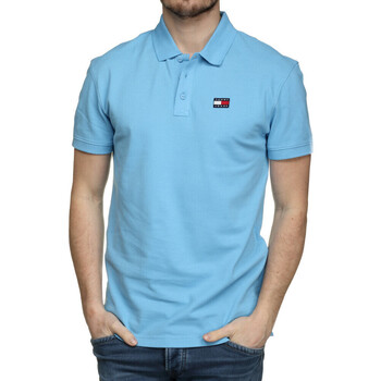 Kleidung Herren T-Shirts & Poloshirts Tommy Hilfiger DM0DM16224 Blau