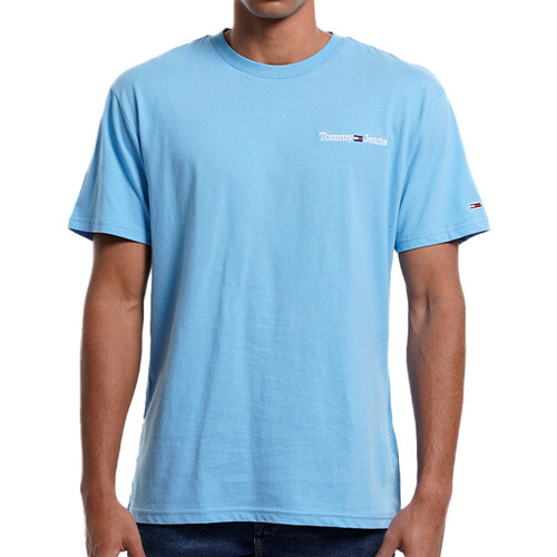 Kleidung Herren T-Shirts & Poloshirts Tommy Hilfiger DM0DM15790 Blau
