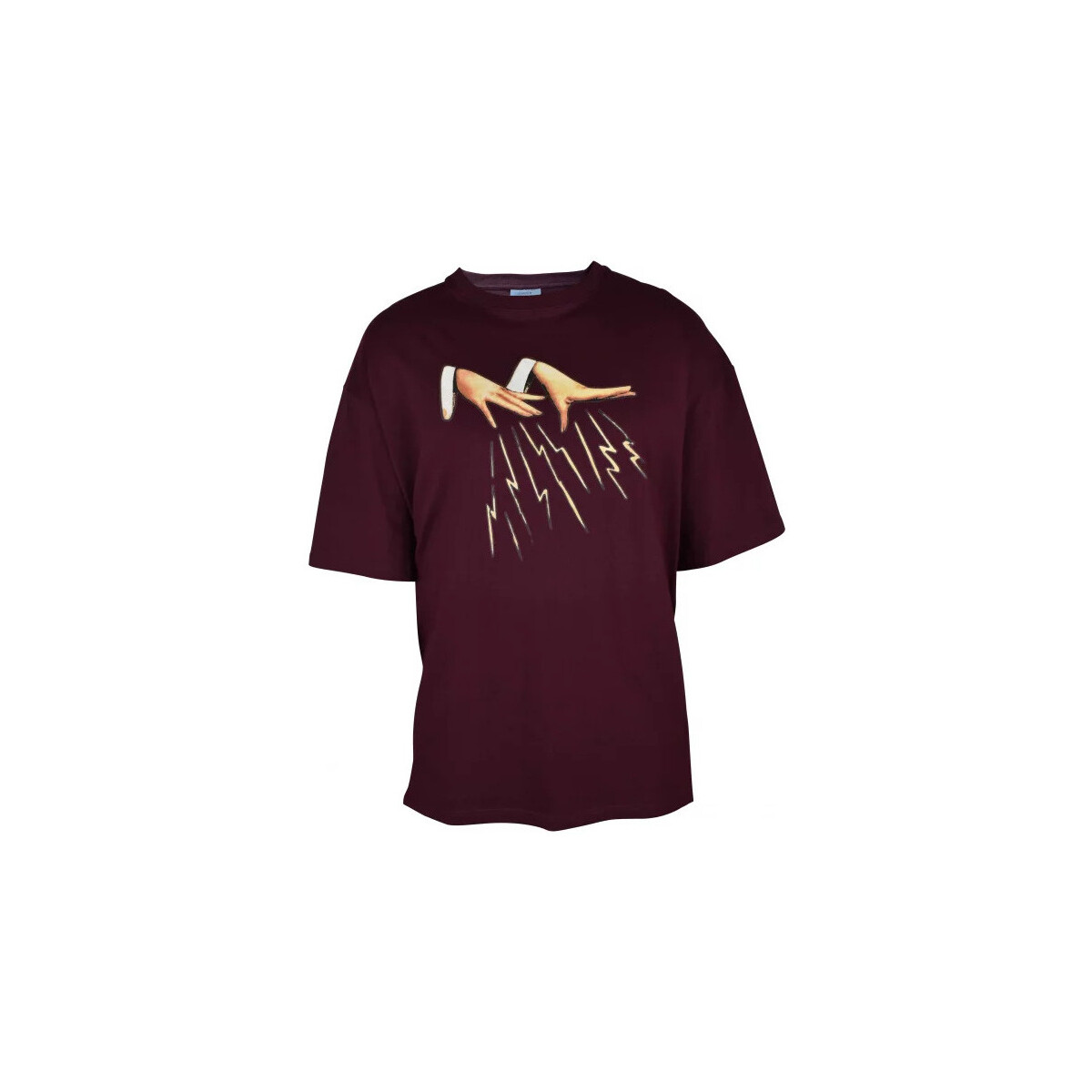 Kleidung Herren T-Shirts & Poloshirts Lanvin  Bordeaux