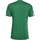 Kleidung Herren T-Shirts & Poloshirts adidas Originals Squad 21 Jsy Ss Teagrn/White Grün