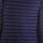 Kleidung Herren Jacken Ciesse Piumini Larry - 800Fp Light Down Hoody Jacket Blau