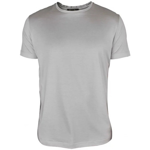 Kleidung Herren T-Shirts & Poloshirts Loro Piana  Grau
