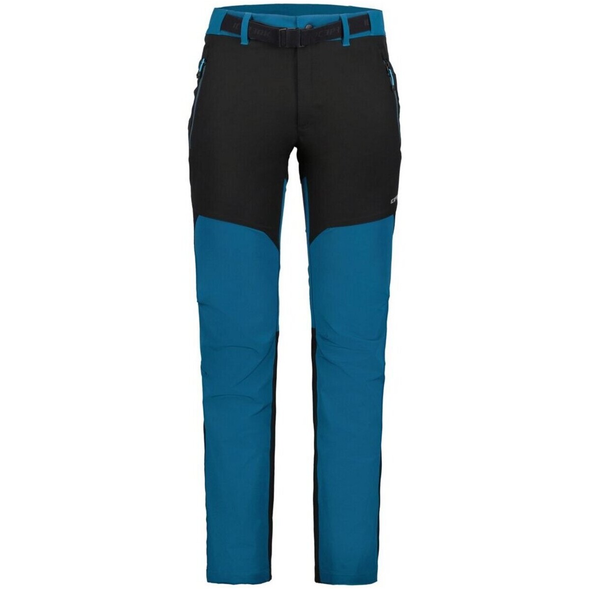 Kleidung Herren Shorts / Bermudas Icepeak Sport  BAKER 357216595I/338 338 Blau