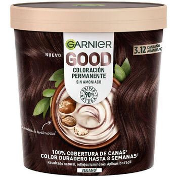 Garnier  Haarfärbung Gute Permanente Farbe 3.12 Heidelbeerkastanie 1 St