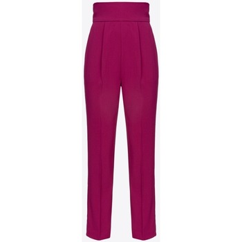 Kleidung Damen Hosen Pinko 1000527624 Violett