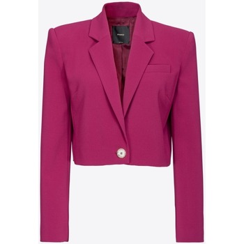 Kleidung Damen Jacken Pinko 101692A14I Violett