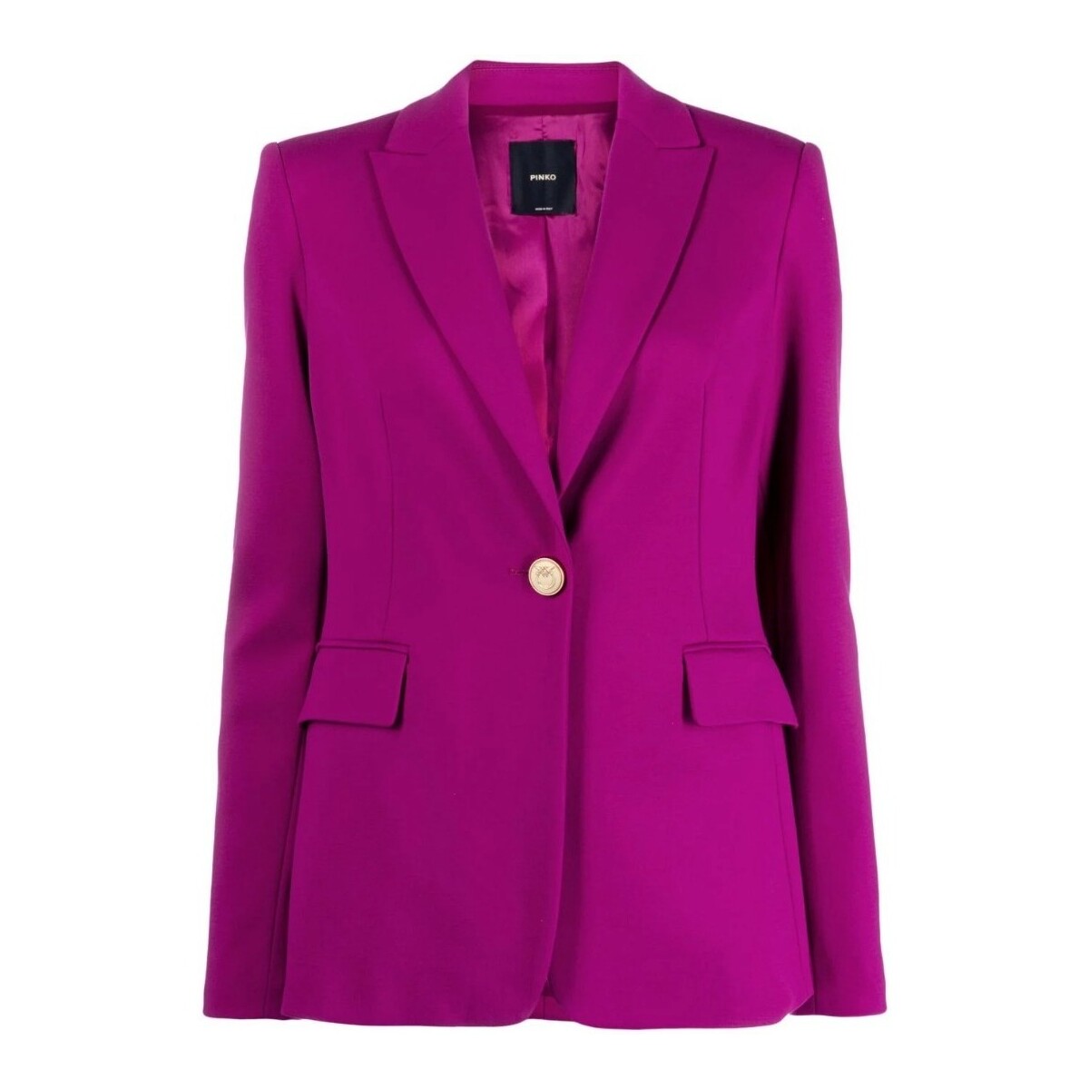 Kleidung Damen Jacken Pinko 100254A15O Violett