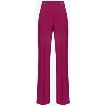 Kleidung Damen Hosen Pinko 100055A14I Violett