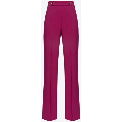 Kleidung Damen Hosen Pinko 100055A14I Violett