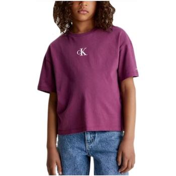 Kleidung Mädchen T-Shirts Calvin Klein Jeans  Violett