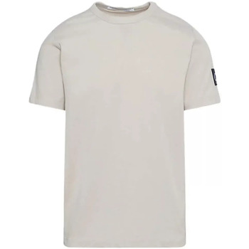 Kleidung Herren T-Shirts Calvin Klein Jeans Insigne Grau