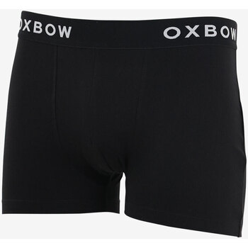 Oxbow  Boxer Lot 2 Boxers CASSIDY