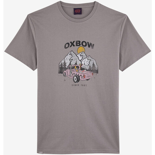 Kleidung Herren T-Shirts Oxbow Tee Grau