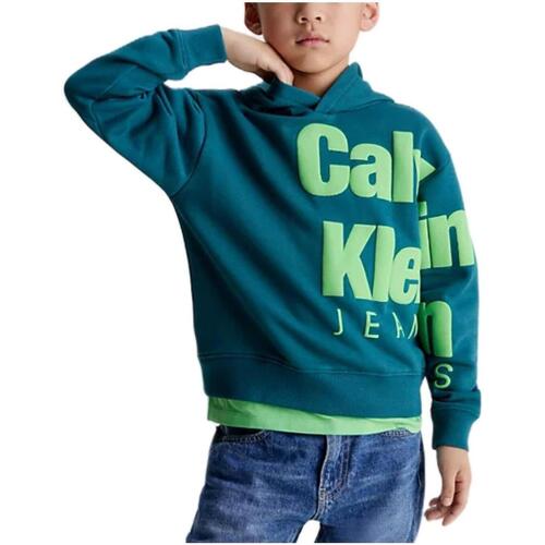 Kleidung Jungen Sweatshirts Calvin Klein Jeans  Grün