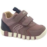 Schuhe Kinder Sneaker Low Geox GEO-I23-B3558C-RN Rosa