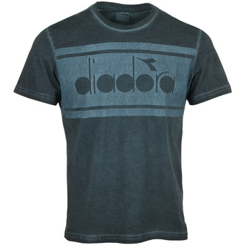 Kleidung Herren T-Shirts Diadora Tshirt Ss Spectra Used Blau