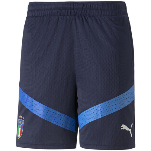 Kleidung Herren Shorts / Bermudas Puma 767097-04 Blau