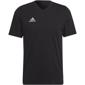 Kleidung Herren T-Shirts & Poloshirts adidas Originals Ent22 Tee Schwarz