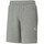 Kleidung Herren Shorts / Bermudas Puma 599523-03 Grau
