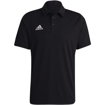 Kleidung Herren T-Shirts & Poloshirts adidas Originals Ent22 Polo Schwarz
