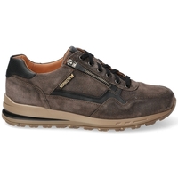 Schuhe Herren Tennisschuhe Mephisto BRADLEY Braun