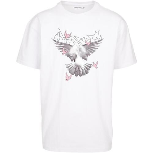 Kleidung T-Shirts Mister Tee T-shirt oversize  Doves Weiss